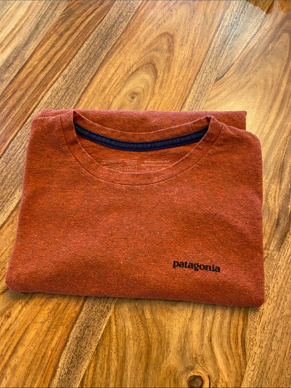 Patagonia kids Short Sleeve Crew Tee in Rust Orange.  Size Large